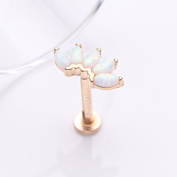 Detail View 1 of 14 Karat Gold OneFit Threadless Brilliant Marquise Fire Opal Flower Flat Back Stud Labret-White Opal